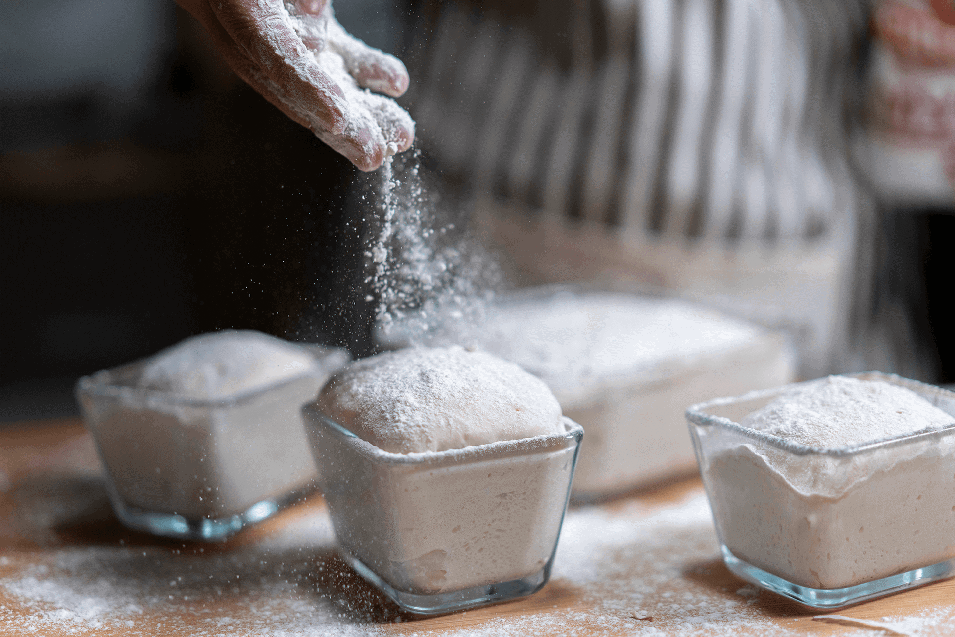 What is Bread Flour?